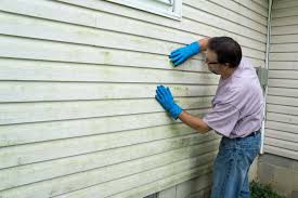 Best Insulated Siding Installation  in Craig, AK